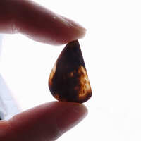 https://images.plurk.com/2pLDT09qNbZHuf5lxO4R0S.jpg