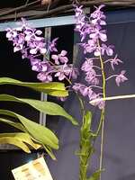 https://images.plurk.com/2pNcmkWHOpZby3PBdDQObP.jpg