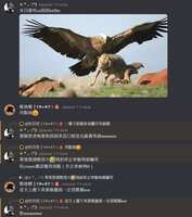 https://images.plurk.com/2pRKcNZ6vID1uesw1SayA7.png