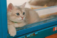 https://images.plurk.com/2pWVL1DgdvKCFaGRSmsa4A.jpg