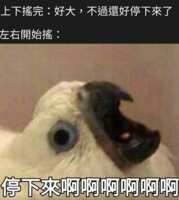 https://images.plurk.com/2payR4IkeaP51WRpburjhV.png