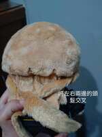 https://images.plurk.com/2pfwRMcZqBXMM0bP4QzCVw.jpg