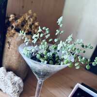https://images.plurk.com/2phDQyEy296K4QxOVQn800.jpg