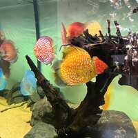 https://images.plurk.com/2pj2KOi3in8TpWbigRsOmq.jpg