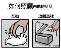 https://images.plurk.com/2pspkQUHEM2dUl1HHmn7E7.jpg