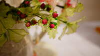 https://images.plurk.com/2q5XWbWI1303gvmu4p5vqJ.jpg