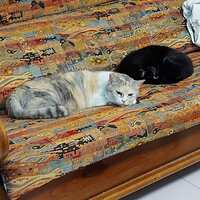 https://images.plurk.com/2q5xngxUJfL9X2GI7HvMH0.jpg