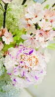 https://images.plurk.com/2qDYIlppg9lSc8Ckpl9m17.jpg