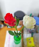 https://images.plurk.com/2qIkDP8TfB73HVoZpbw5OW.jpg