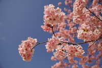 https://images.plurk.com/2qR7RxAL9sUAMaKw43aK5E.jpg