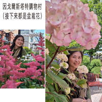 https://images.plurk.com/2qVBhCsKRShmYjterc3cvE.jpg