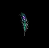 https://images.plurk.com/2qXJbEPJSfqbTKH7DJegnf.png