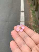 https://images.plurk.com/2qdQPSTa5lMBq4nBmynN5G.jpg