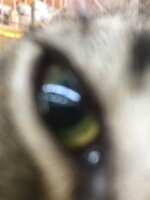 https://images.plurk.com/2qgmvIXjQ9OrtkMhT3v7aB.jpg