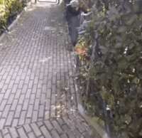 https://images.plurk.com/2qk2eHNH43G9NX2HhXHDLq.gif