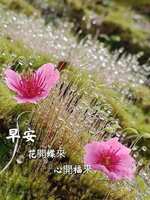 https://images.plurk.com/2ql3CtmmybiTCPEUkQPm6c.jpg
