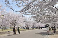 https://images.plurk.com/2qv1Vx6YXB7hGkbeVQvcKv.jpg