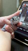 https://images.plurk.com/2r1ZnQ3jvAObwT99mxTrGw.jpg