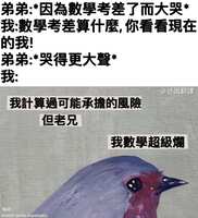 https://images.plurk.com/2r85Z8gwwksyKlbCs8h1zg.jpg