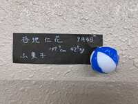 https://images.plurk.com/2rHI5Fx1Vpxbw88M5nJj1q.jpg