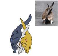 https://images.plurk.com/2rISaA8pggjDggutfRJC0d.jpg