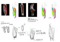 https://images.plurk.com/2rNeC0LZbLpvV3EFJNF9cu.jpg