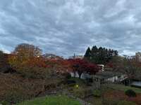 https://images.plurk.com/2rgCqGmNEclRmqnXmpVd0W.jpg