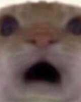 https://images.plurk.com/2rlvg5BF4QYAEBIgdWNZlC.jpg