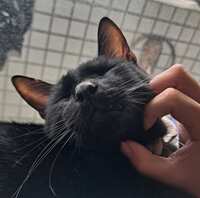 https://images.plurk.com/2rsJNr1kKNazDyLK54k2W6.jpg