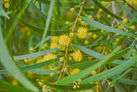 https://images.plurk.com/2ruP5Gc1IfziBhieNcrYKW.jpg