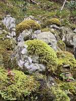 https://images.plurk.com/2rvLR6gauT9WvxL6PsPVqJ.jpg