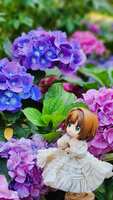 https://images.plurk.com/2s7lqH0kMEi1PDhUNvVSN1.jpg
