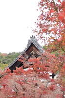 https://images.plurk.com/2s8YqwtACYwou20p0gaxK0.jpg