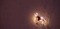 https://images.plurk.com/2sEMYIl04rFQgqfVXQknfG.jpg