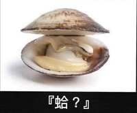 https://images.plurk.com/2sH5TI52sYAXwddm39tdWQ.jpg