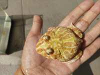 https://images.plurk.com/2sJ5Dx6dd98nV8DV6ZrPCR.jpg