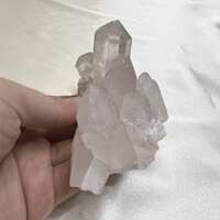 https://images.plurk.com/2sNx30tfPlhjp1C35M7UXB.jpg