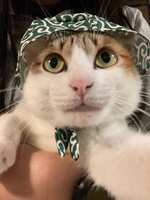 https://images.plurk.com/2sQYnrjExB2MWuRbFfZDzi.jpg