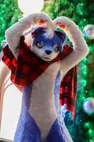 https://images.plurk.com/2sRW5pdTlzB3xf3bC5ftqj.jpg