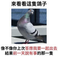 https://images.plurk.com/2sr499yybqgqnUzHbjR2rr.jpg