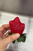 https://images.plurk.com/2sySM8R1s2T5bHWk5J7qb9.jpg