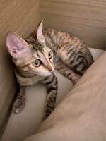 https://images.plurk.com/2t0OLzEBg1upTnLBCuONjM.jpg
