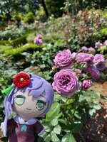https://images.plurk.com/2t5nvNAoAIxyYE9NPcg9B3.jpg