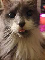 https://images.plurk.com/2tJrQlosmkt6eEeenJktYf.jpg