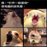 https://images.plurk.com/2tMVVPsBRV7iKyXLu9fvSX.jpg