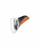 https://images.plurk.com/2tR0ftbPnNsh5rwkcSJ4sB.jpg