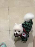 https://images.plurk.com/2tULlIUvOUND2rglWfC279.jpg
