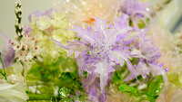 https://images.plurk.com/2tXse31SFsMps1geH4JxcR.jpg