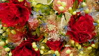 https://images.plurk.com/2tlxFujrqJzcDwZgu8dSZQ.jpg