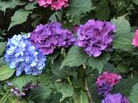 https://images.plurk.com/2tn4tLPkrqpOMGhKy7HDW8.jpg